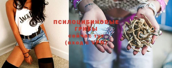 гашик Абдулино